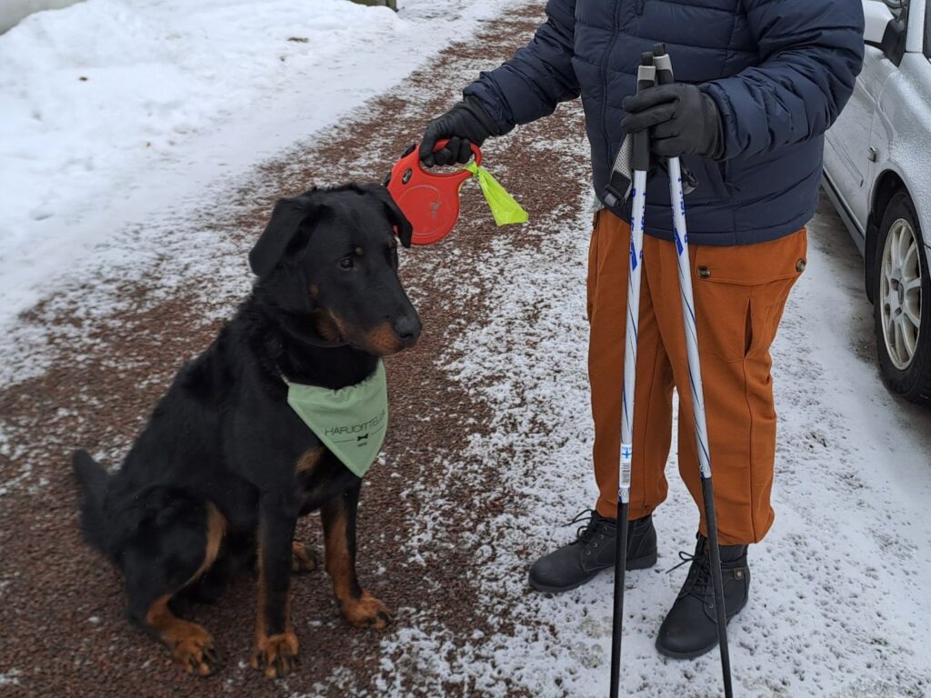 musta koira istuu maassa ulkona, henkilö pitää hihnaa ja kävelysauvoja koiran vieressä